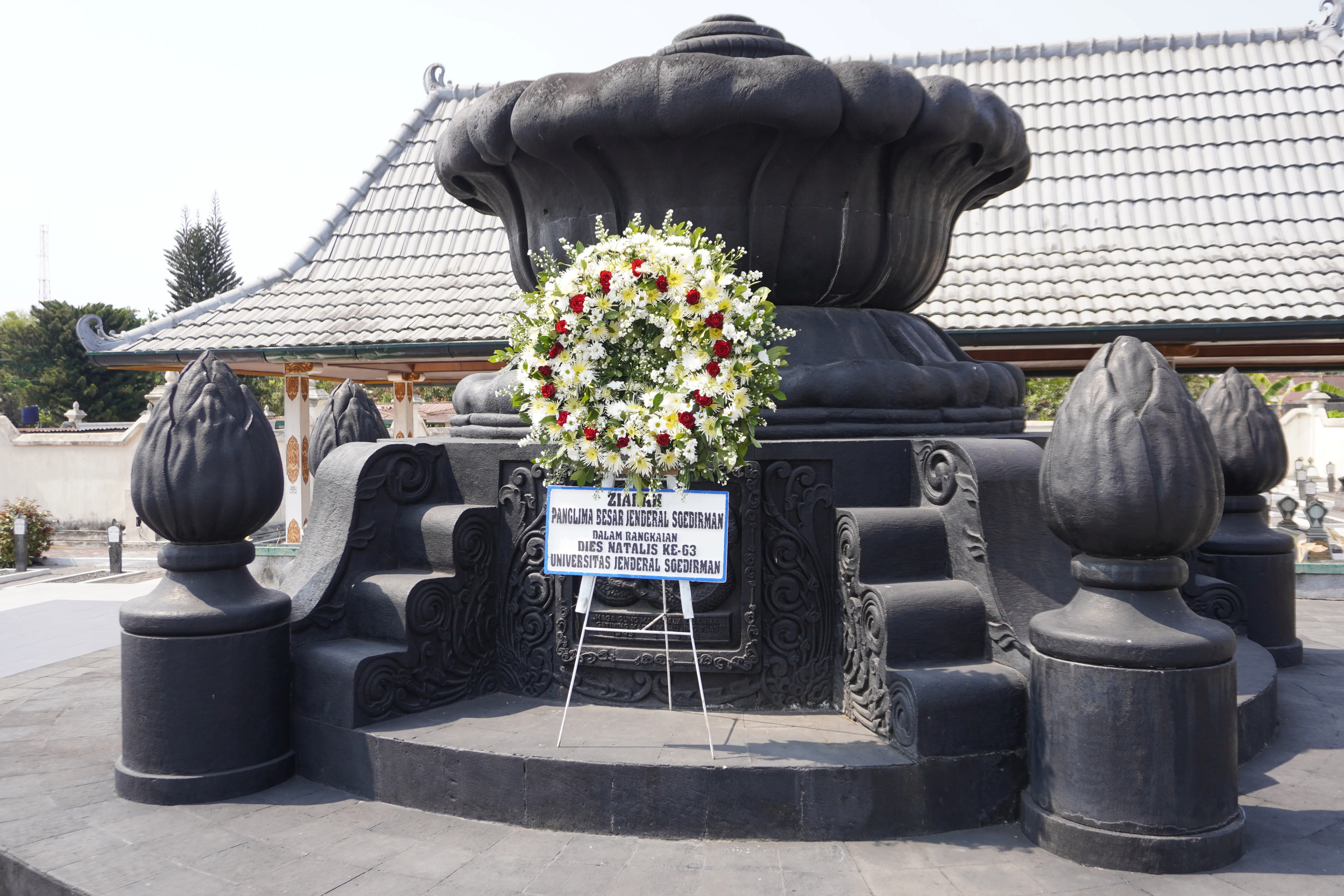 DSC08049.JPG