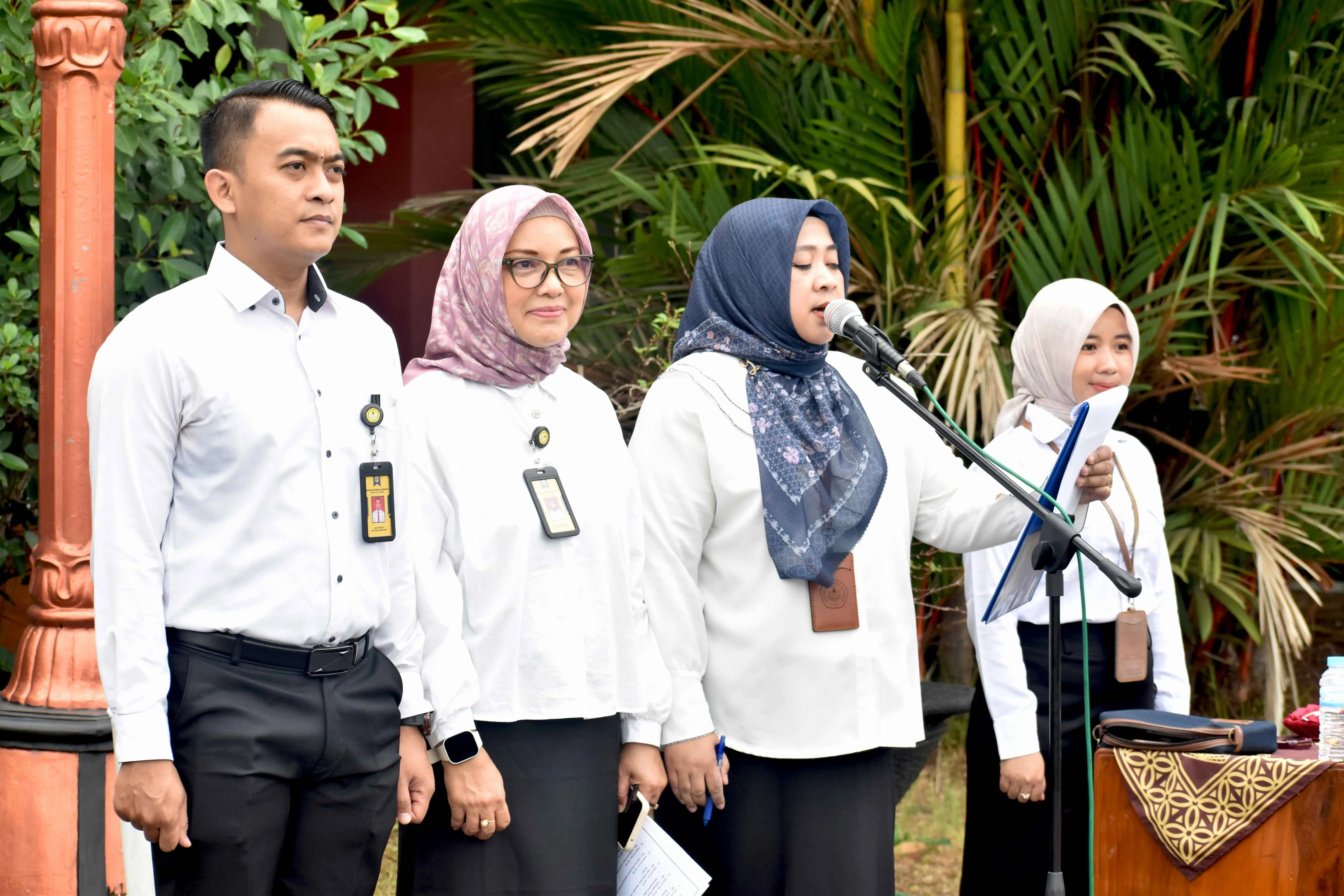 DSC_1382 n.jpg