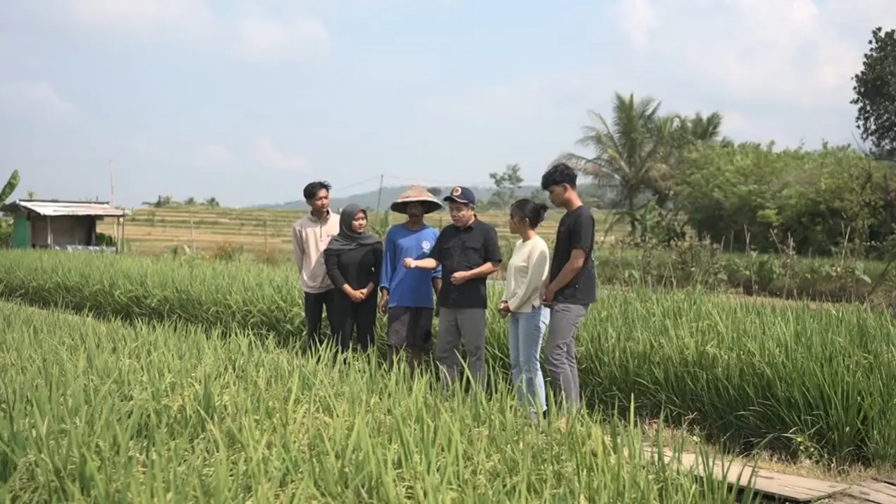 Protani: Padi Unggul yang Perkuat Ketahanan Pangan Era Antroposen