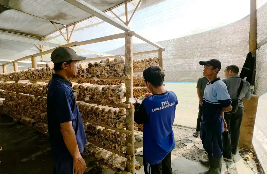 LPPM Unsoed Bekali Warga Binaan Lapas Kembangkuning Keterampilan Budidaya Jamur Tiram