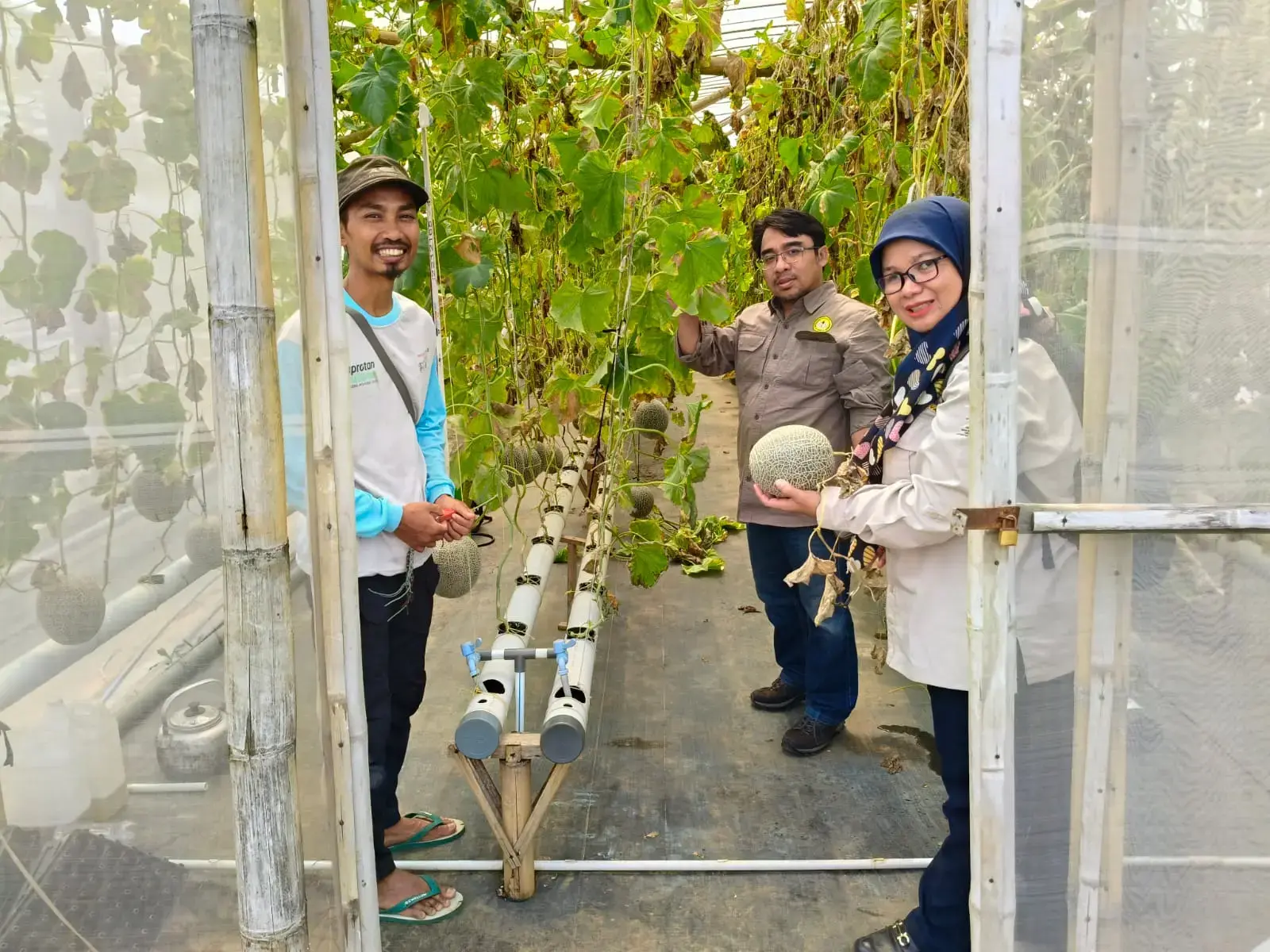 Dosen UNSOED Dukung Petani Muda Banyumas Kembangkan Budidaya Melon Hidroponik Berbasis IoT