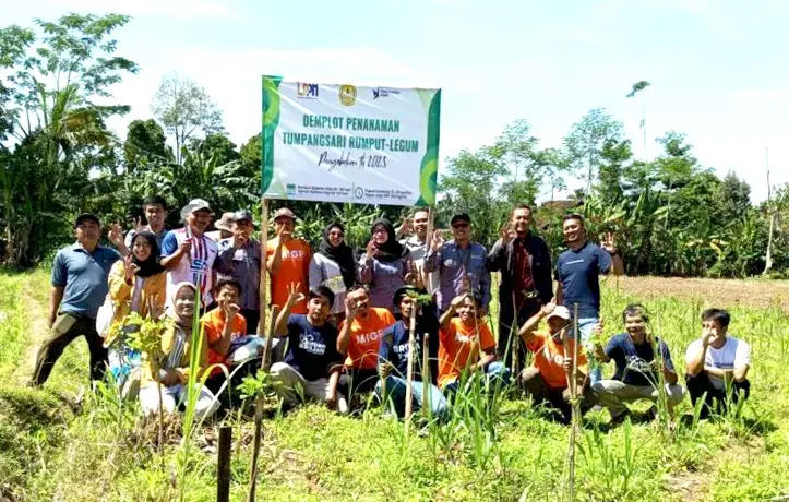 Fapet UNSOED Perkuat Ketahanan Pakan Domba Lewat Inovasi Tumpangsari di Purbalingga