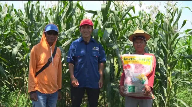 Pupuk NZEO-SRPlus: Solusi Ganda Inovasi untuk Ketahanan Pangan dan Kelestarian Lingkungan