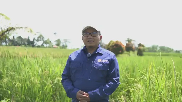 Program SID Cetak Sawah Rakyat, Dukung Swasembada Pangan Melalui Optimalisasi Lahan