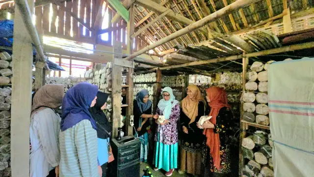 Riset Unsoed Dorong Penguatan Agroindustri Jamur Tiram dari Hulu hingga Hilir di Desa Winduaji