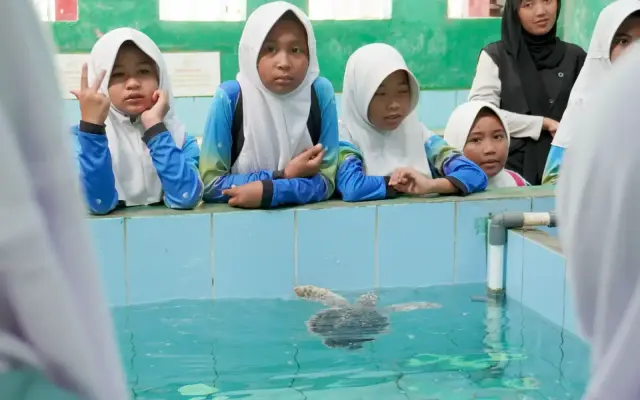 Unsoed, WWF, and Conservation Group Collaborate to Instill Sea Turtle Awareness Among Coastal Students