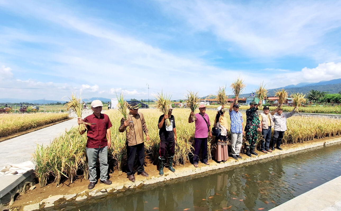 Dukung Pencapaian IP 400, UNSOED Terapkan Rekayasa Teknologi Minapadi Protani Salibu