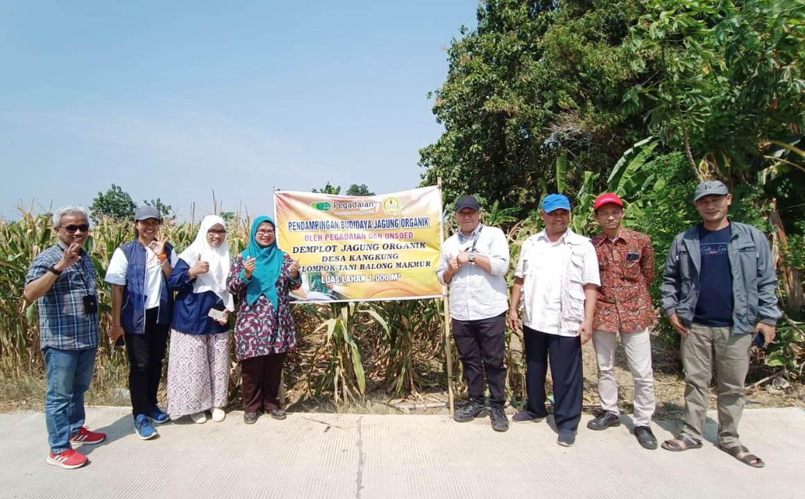 UNSOED Bersama TJSL PT Pegadaian Dukung Pertanian Ramah Lingkungan