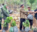 Bantuan Bibit Kepada Kelompok Perhutanan Sosial Giri Mulya