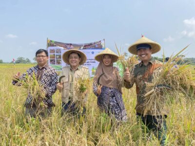Penerapan Teknologi padi Gogo Protani dan Pompa Air Panel Surya Serta Formula 100+ Di Desa Pruwatan Bumiayu
