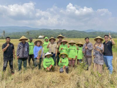 Panen Raya Padi Gogo Protani