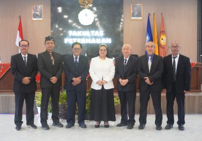 Doktor Baru Fapet Unsoed Ungkap Kunci Adaptasi dan Reproduksi Sapi Perah Impor di Iklim Tropis