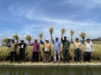 UNSOED BERDAMPAK UNSOED BERDAMPAK